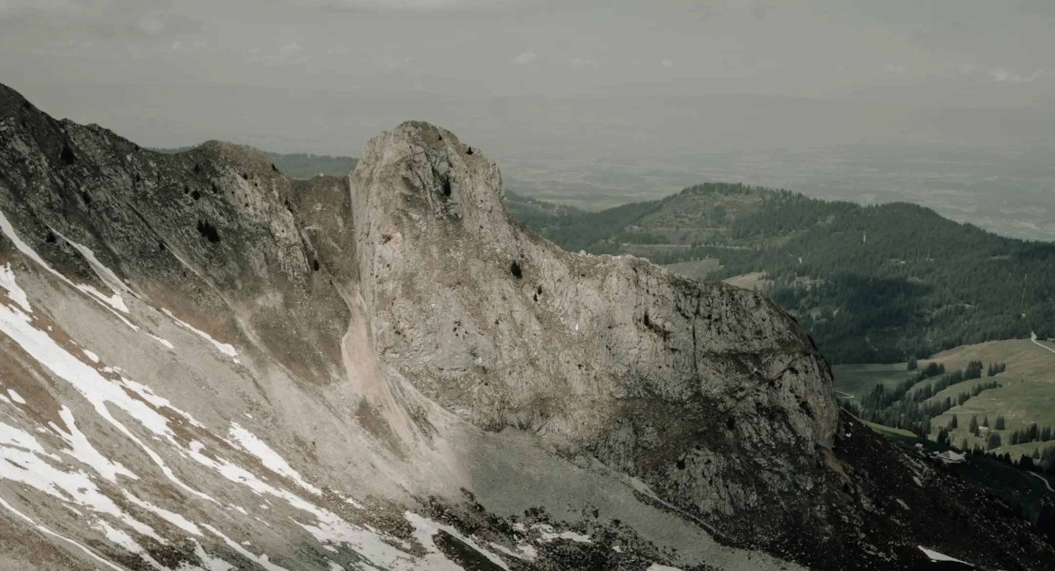 Anna & Lukas: Trauung