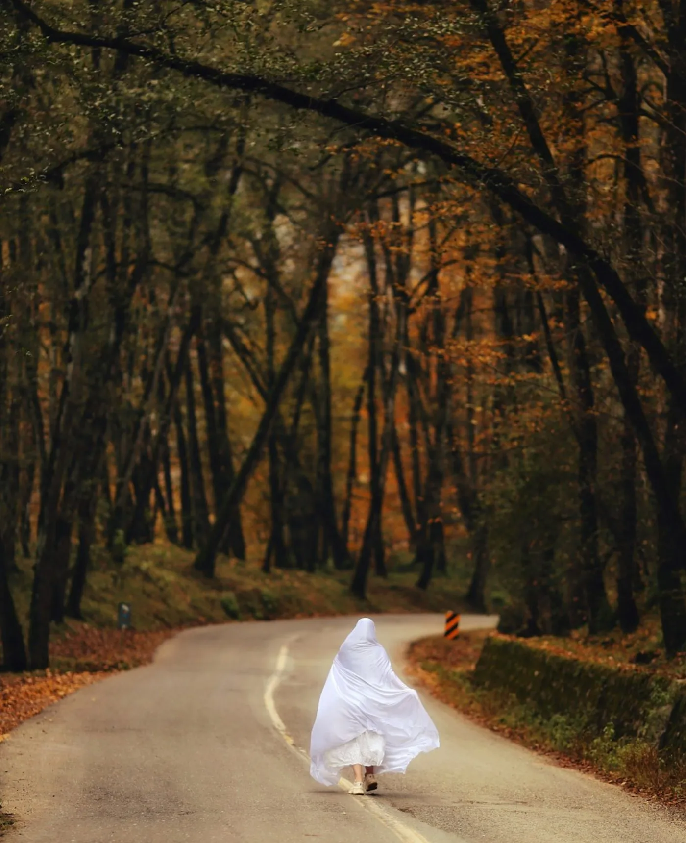Porträt: Herbstweg – SOPHIA TAN PHOTO
